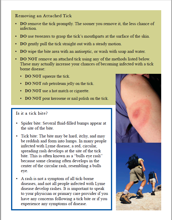 Fact Sheet 2