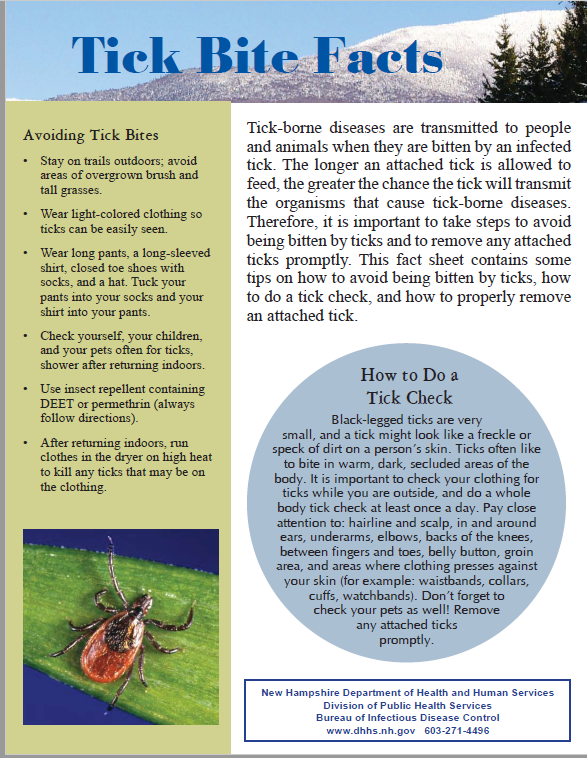 Fact Sheet